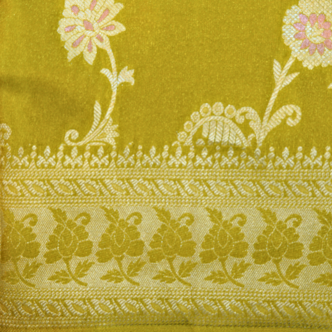 Banarasi Tissue Pattu saree with meenaakaari border - BBS086