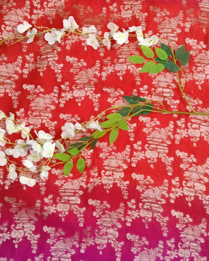 Banarasi chiffon Georgette saree with meenaakari border - BBS120