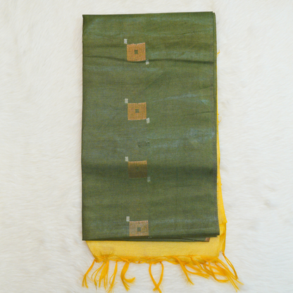 Tusser Saree With contrast blouse - BBS182B