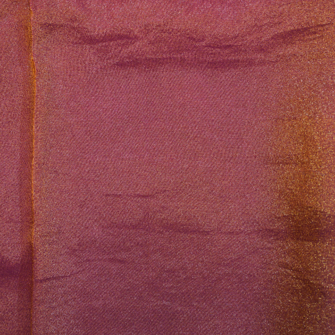 Banarasi Tissue Pattu saree with meenaakaari border - BBS067