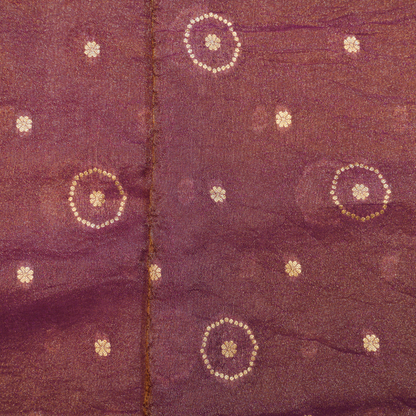 Banarasi Tissue Pattu saree with meenaakaari border - BBS067