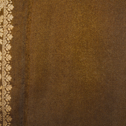 Banarasi Tissue Pattu saree with meenaakaari border - BBS068