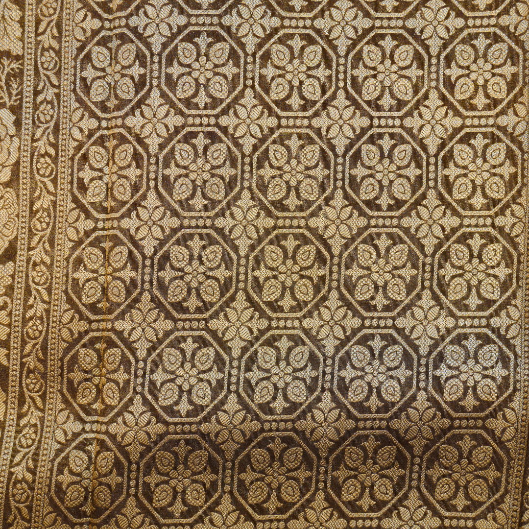 Banarasi Tissue Pattu saree with meenaakaari border - BBS068