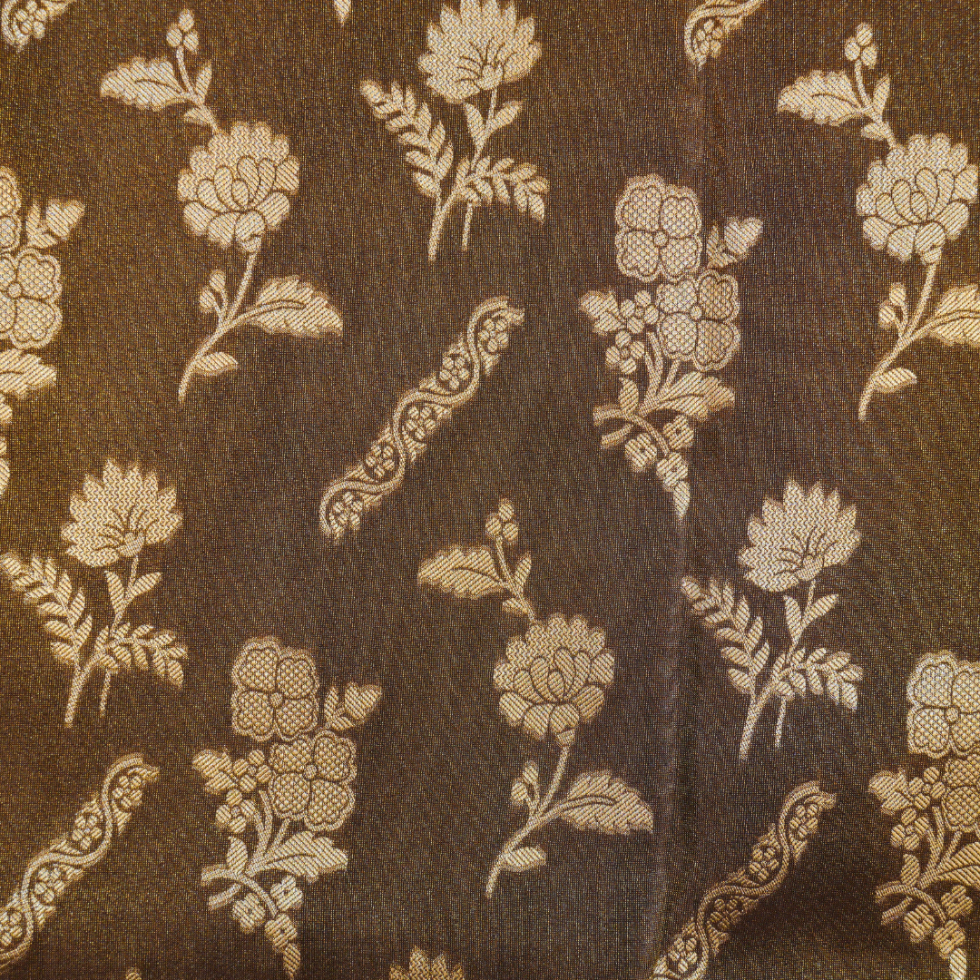 Banarasi Tissue Pattu saree with meenaakaari border - BBS068