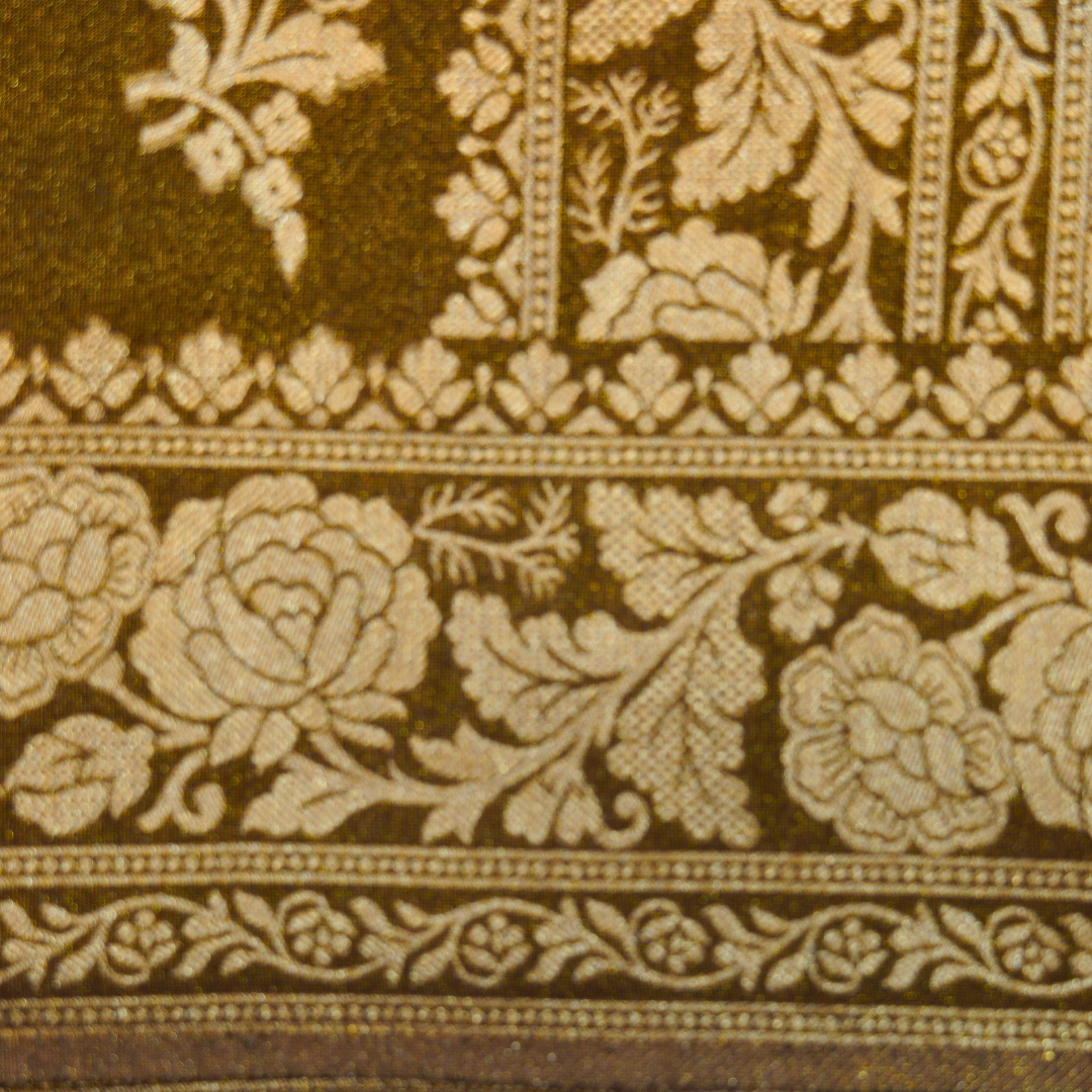 Banarasi Tissue Pattu saree with meenaakaari border - BBS068