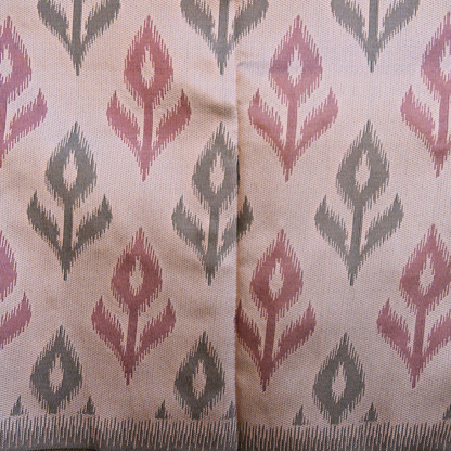Pochampally soft silk saree - BBS188