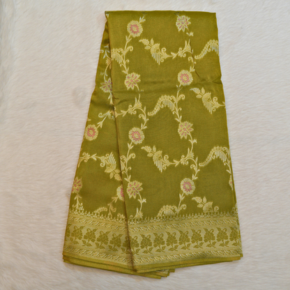 Banarasi Tissue Pattu saree with meenaakaari border - BBS086