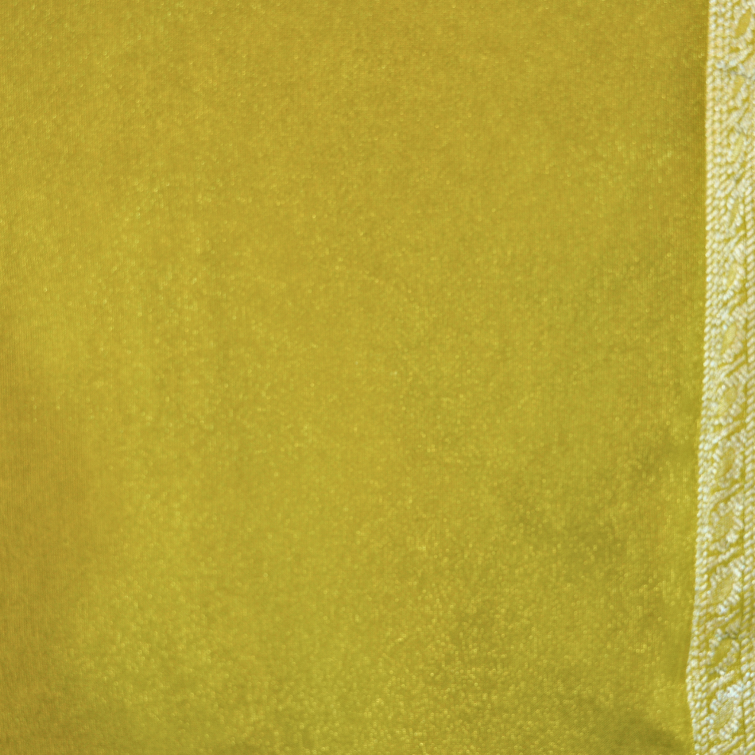 Banarasi Tissue Pattu saree with meenaakaari border - BBS086