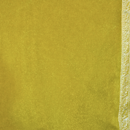 Banarasi Tissue Pattu saree with meenaakaari border - BBS086