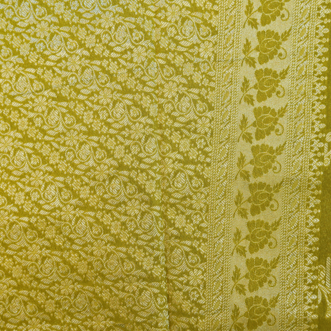 Banarasi Tissue Pattu saree with meenaakaari border - BBS086