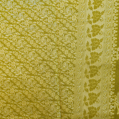 Banarasi Tissue Pattu saree with meenaakaari border - BBS086