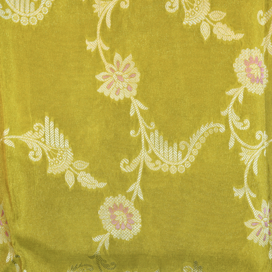 Banarasi Tissue Pattu saree with meenaakaari border - BBS086