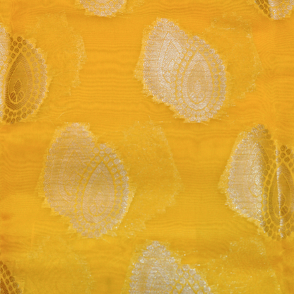 Semi Chanderi Pattu Saree - BBS189
