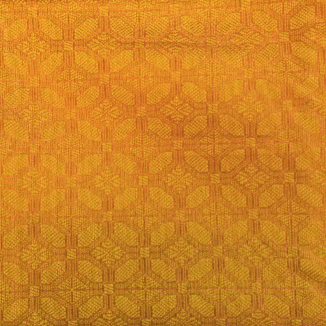 Light Weight Pattu Saree - BBS175