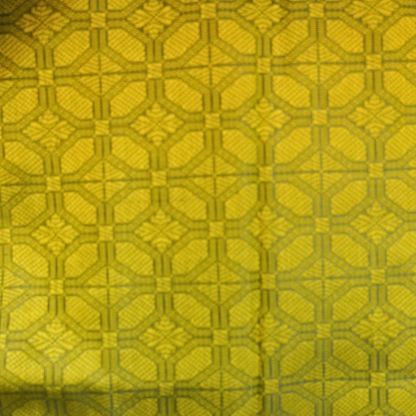 Light Weight Pattu Saree - BBS175