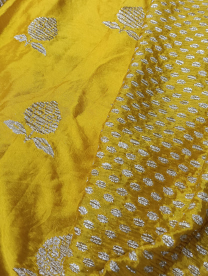 Banarasi chiffon Georgette Saree with Crushed Border - BBS107C